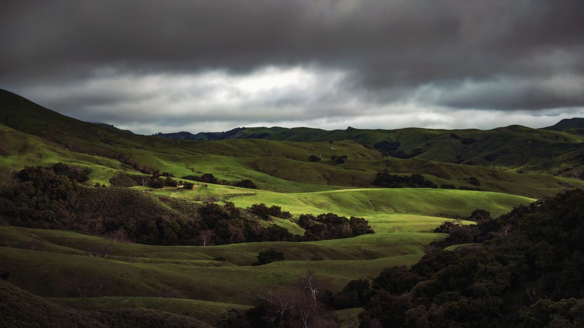 Dark rain clouds over rolling green hills, with patches of sunlight on the grass and oak woodland on the slopes