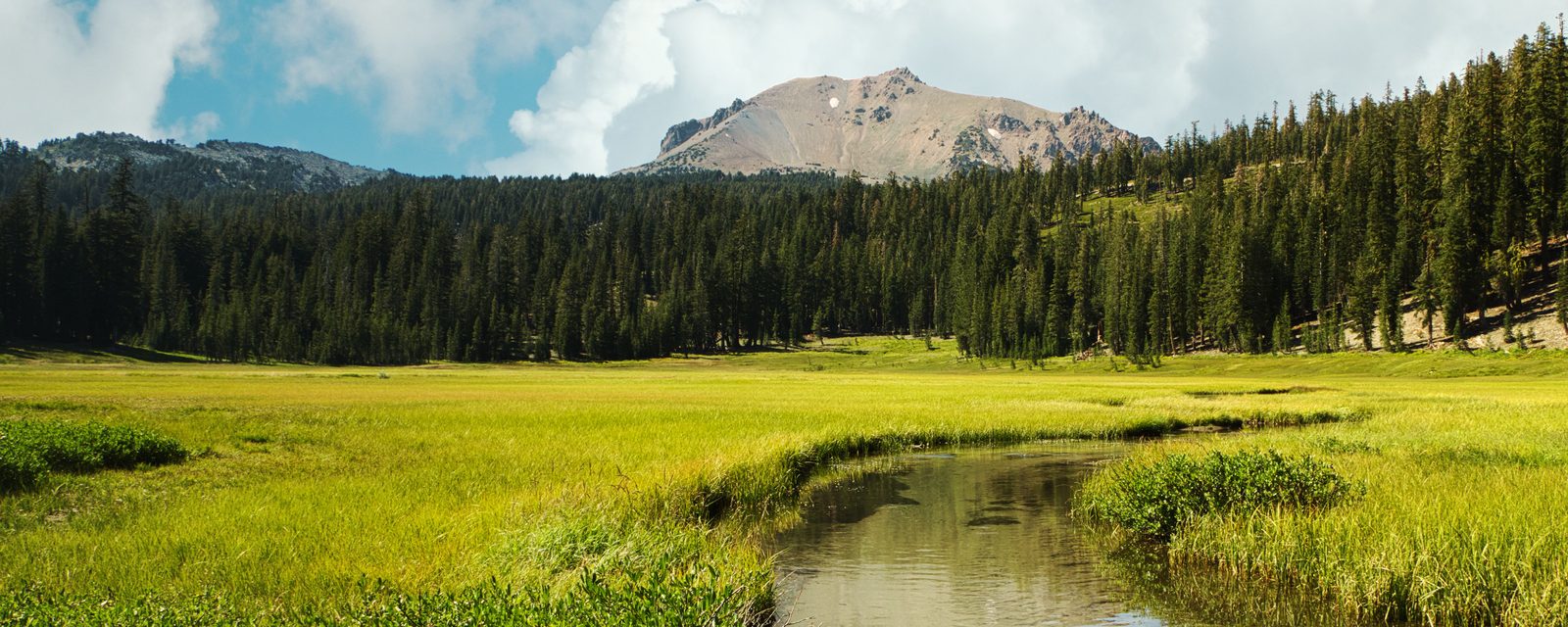 A clear creek winding through a bright-green mountain meadow, with low shrubs in the foreground, dense conifer forest behind and a bare rocky peak under white clouds.
