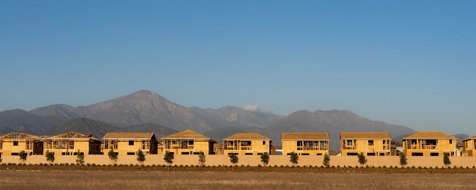 A row of wood-framed two-story homes under construction behind a block wall lined with young trees, with a dry grass field in front and mountains under a blue sky.